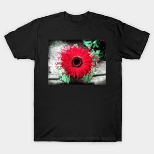 Red Daisy T-Shirt